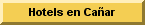 Hotels Hoteles en Cañar