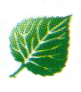 Hoja
