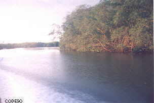 Cayapas Mataje Mangrove Ecological Reserve