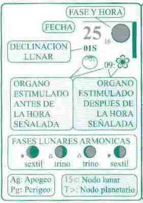 Influencia de las fases lunares