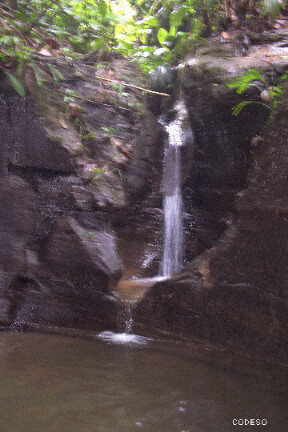 Una cascada puede ser aprovechado con un sistema hídroeléctrico