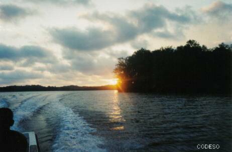 Fotos: Manglares - Mangrove - Mangle - Ecuador